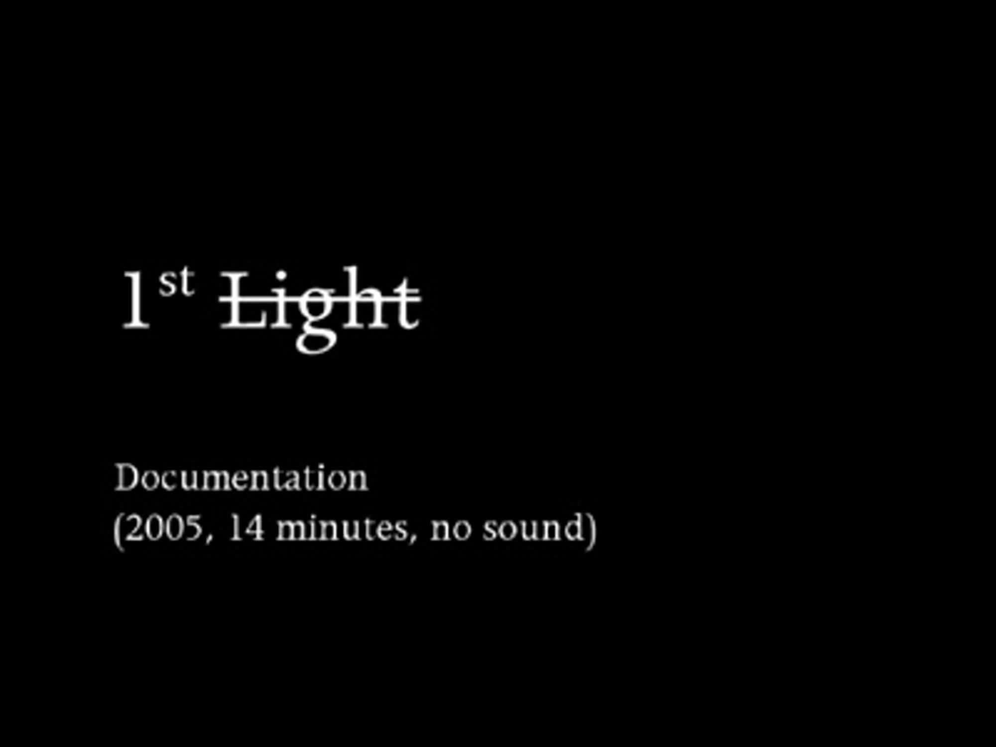 Videos - New Museum Digital Archive