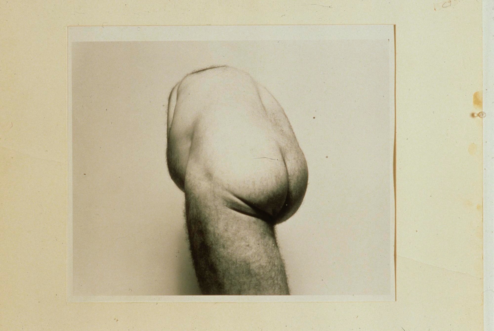Exhibitions - New Museum Digital Archive